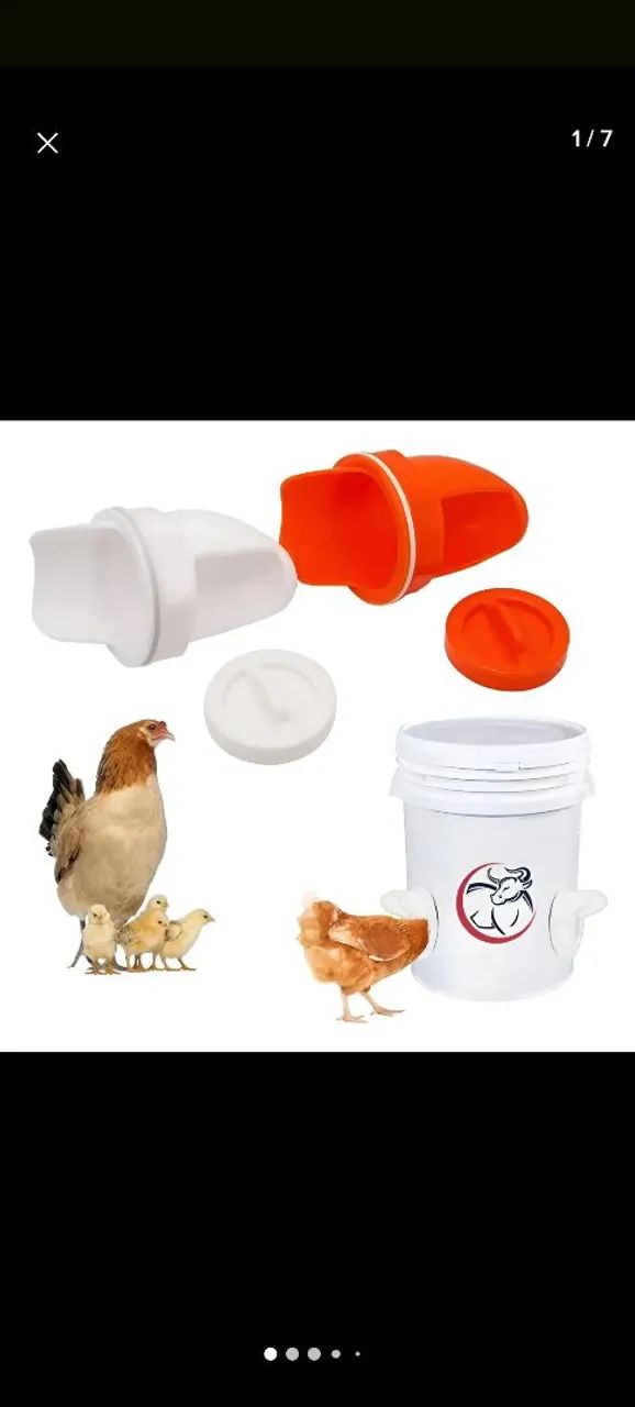 Bocal para comedouro de galinha 