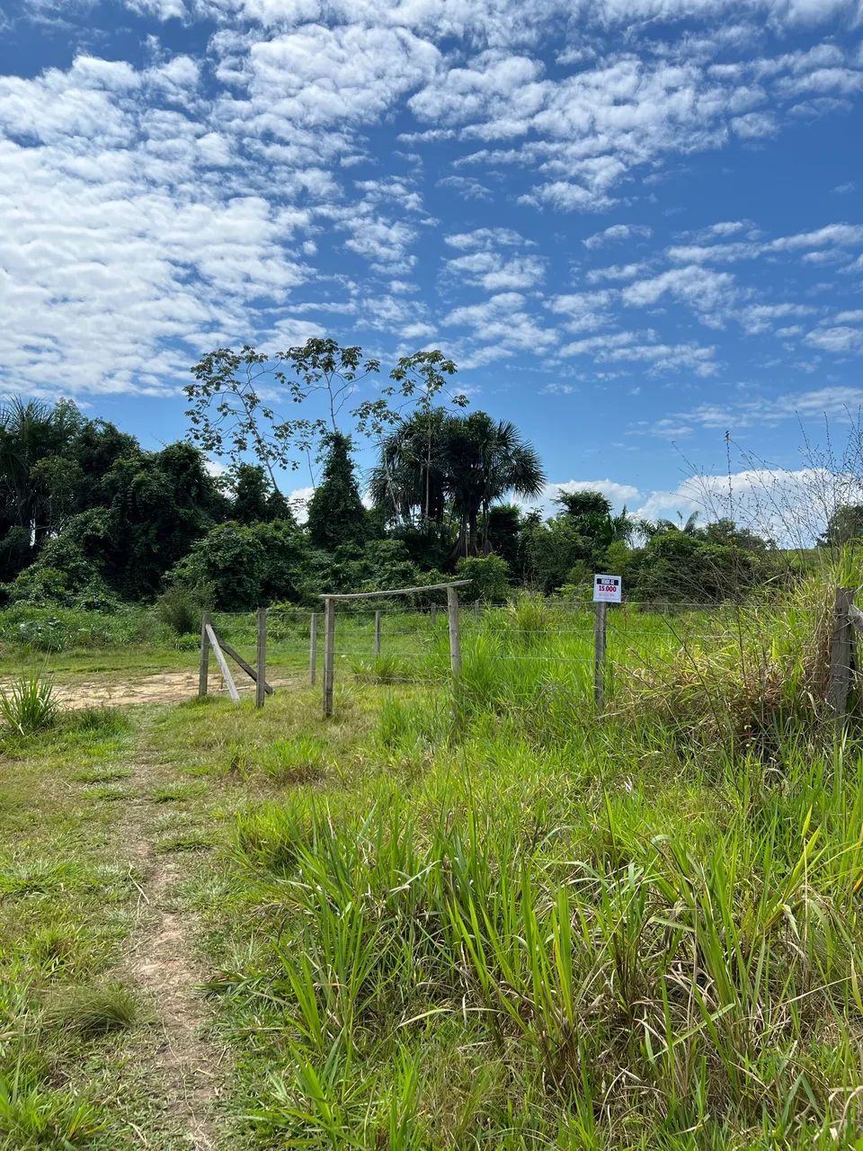 Vende-se lote próximo ao asfalto