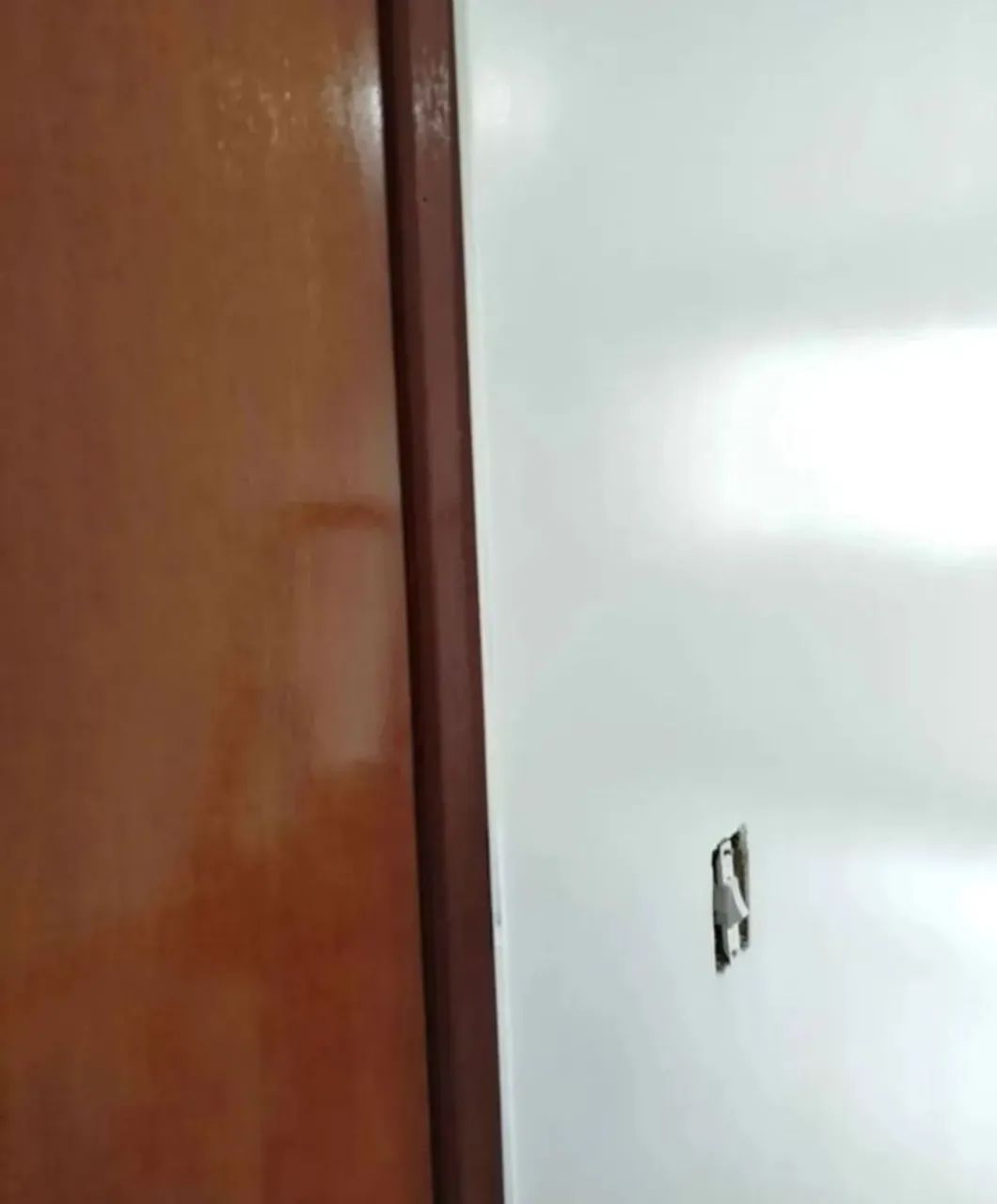 PINTOR PINTURAS EM GERAL 