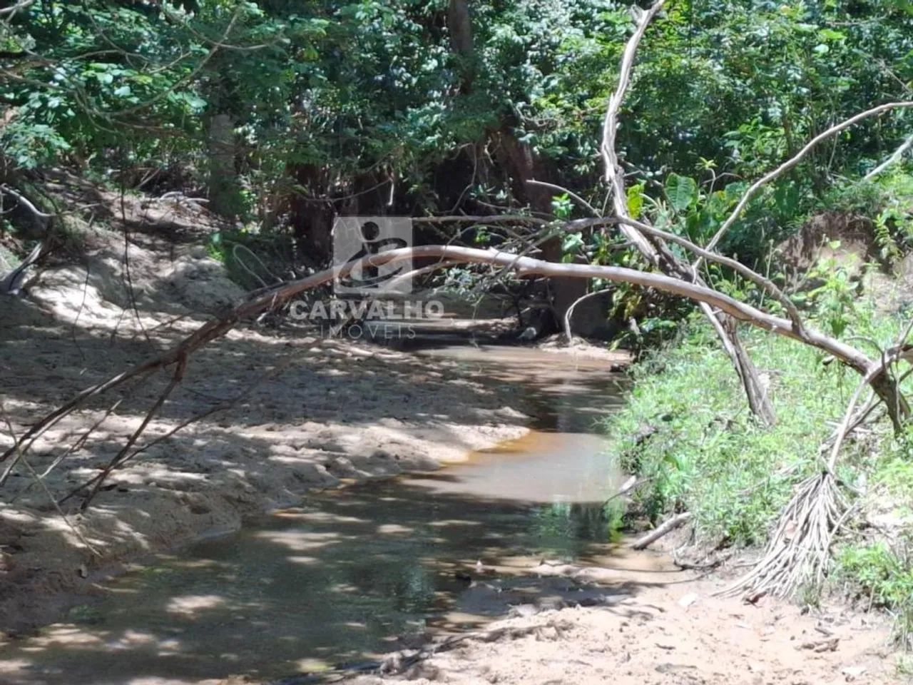 Fazenda a venda em Faina - GO - Foto 3