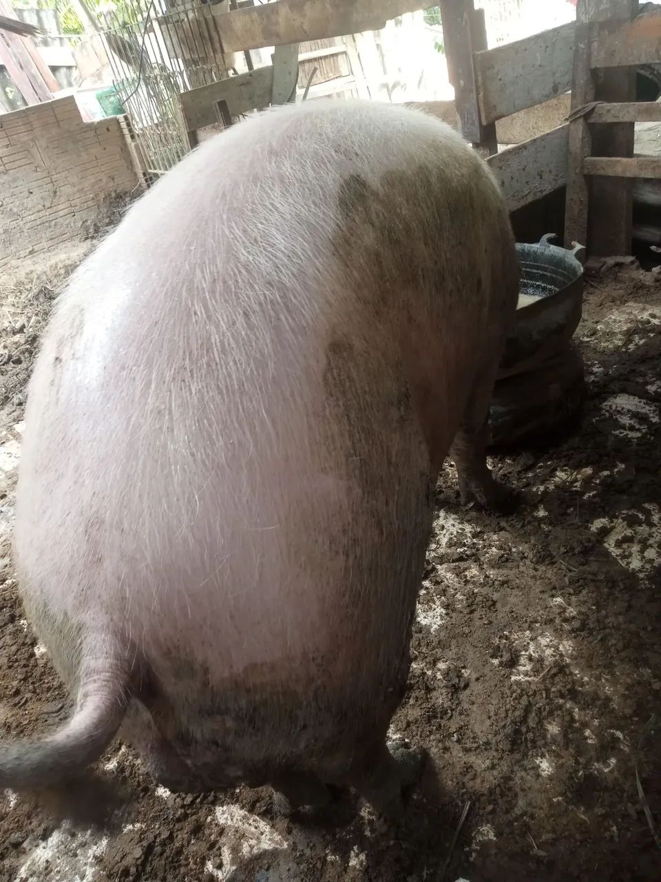 Vendo  - Foto 3