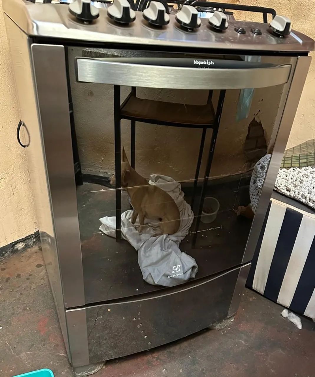 Fogao electrolux 