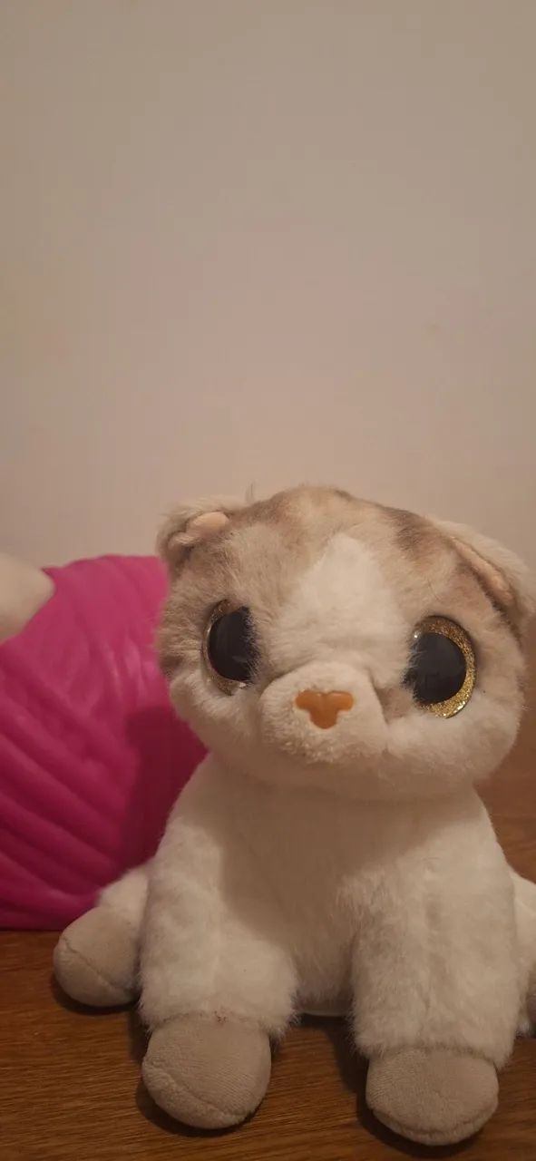 Pets a Live gato