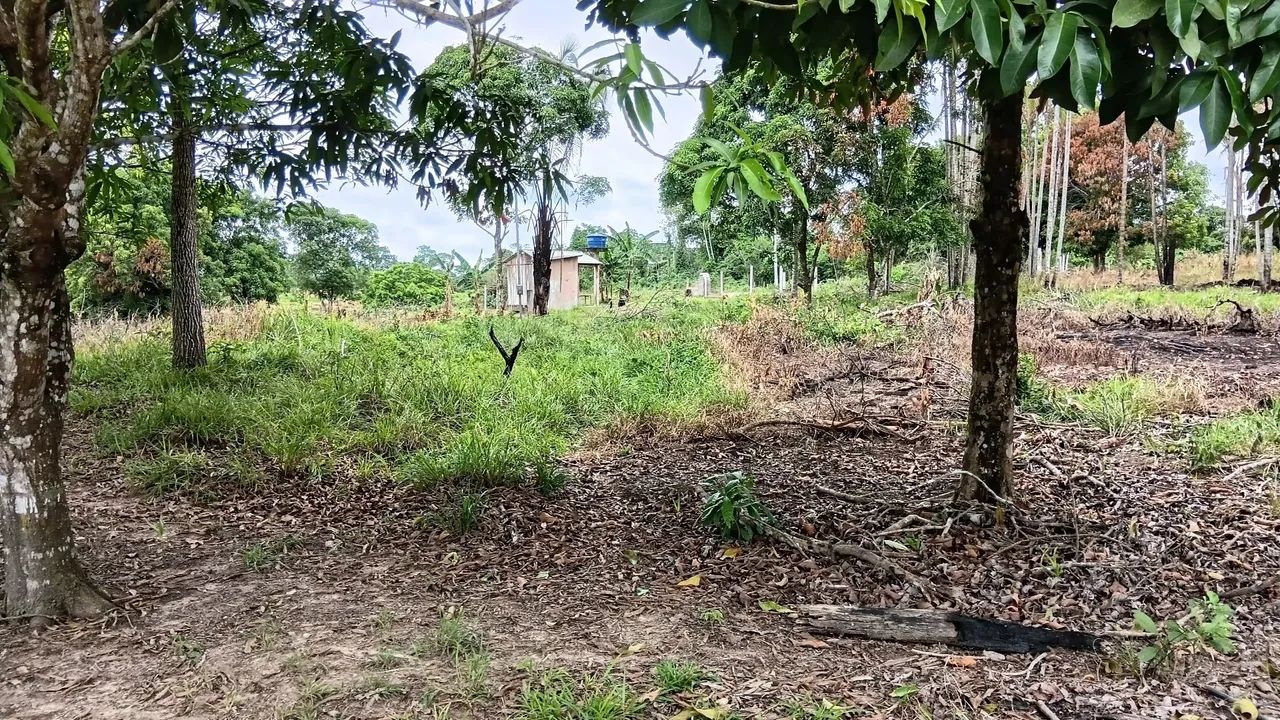 Vende-se Chácara  - Foto 5