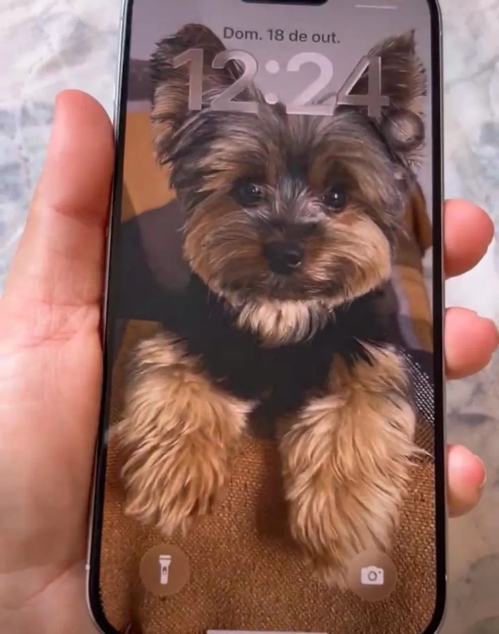 iPhone 15 Pro 
