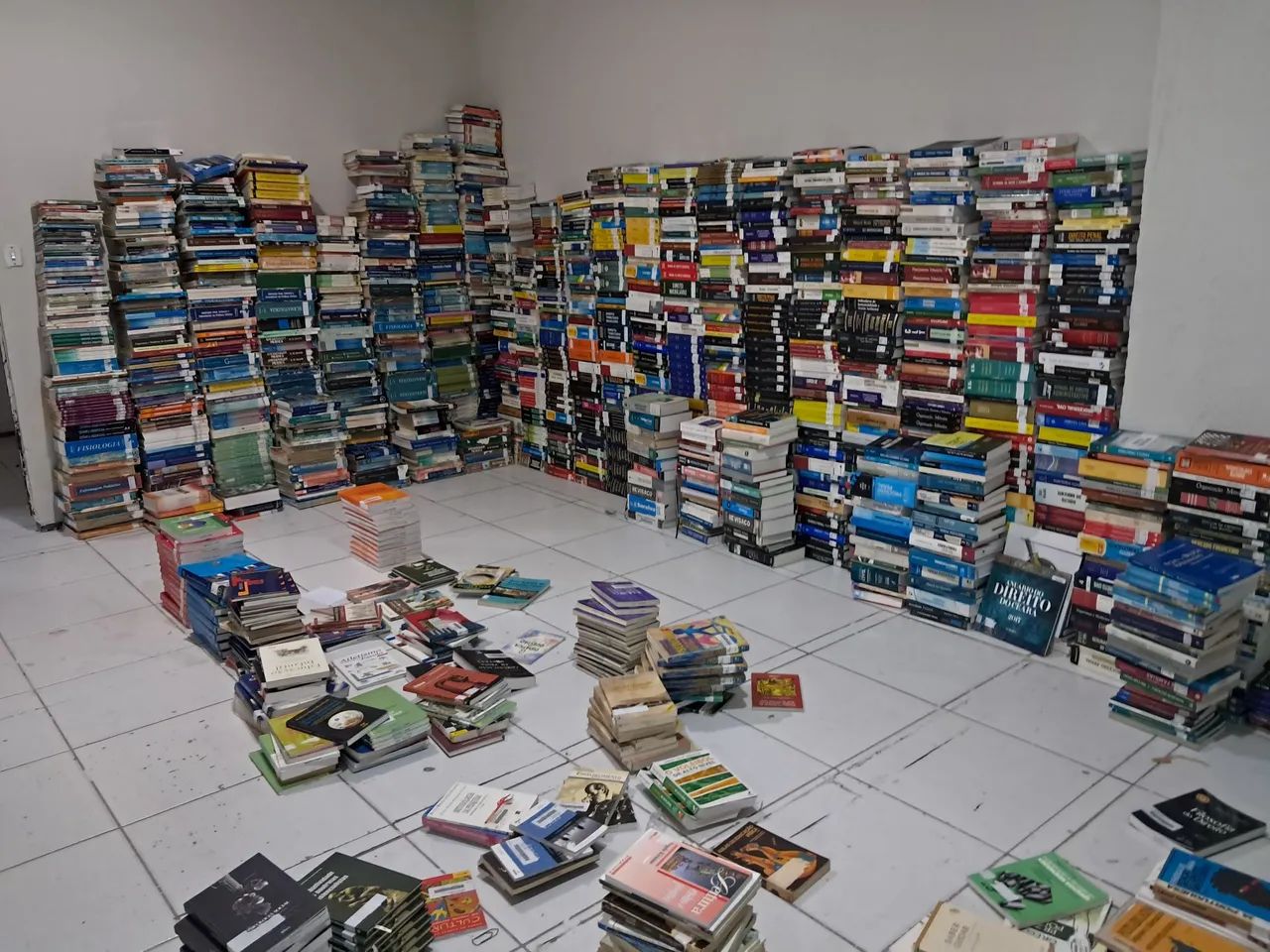 Biblioteca  - Foto 2