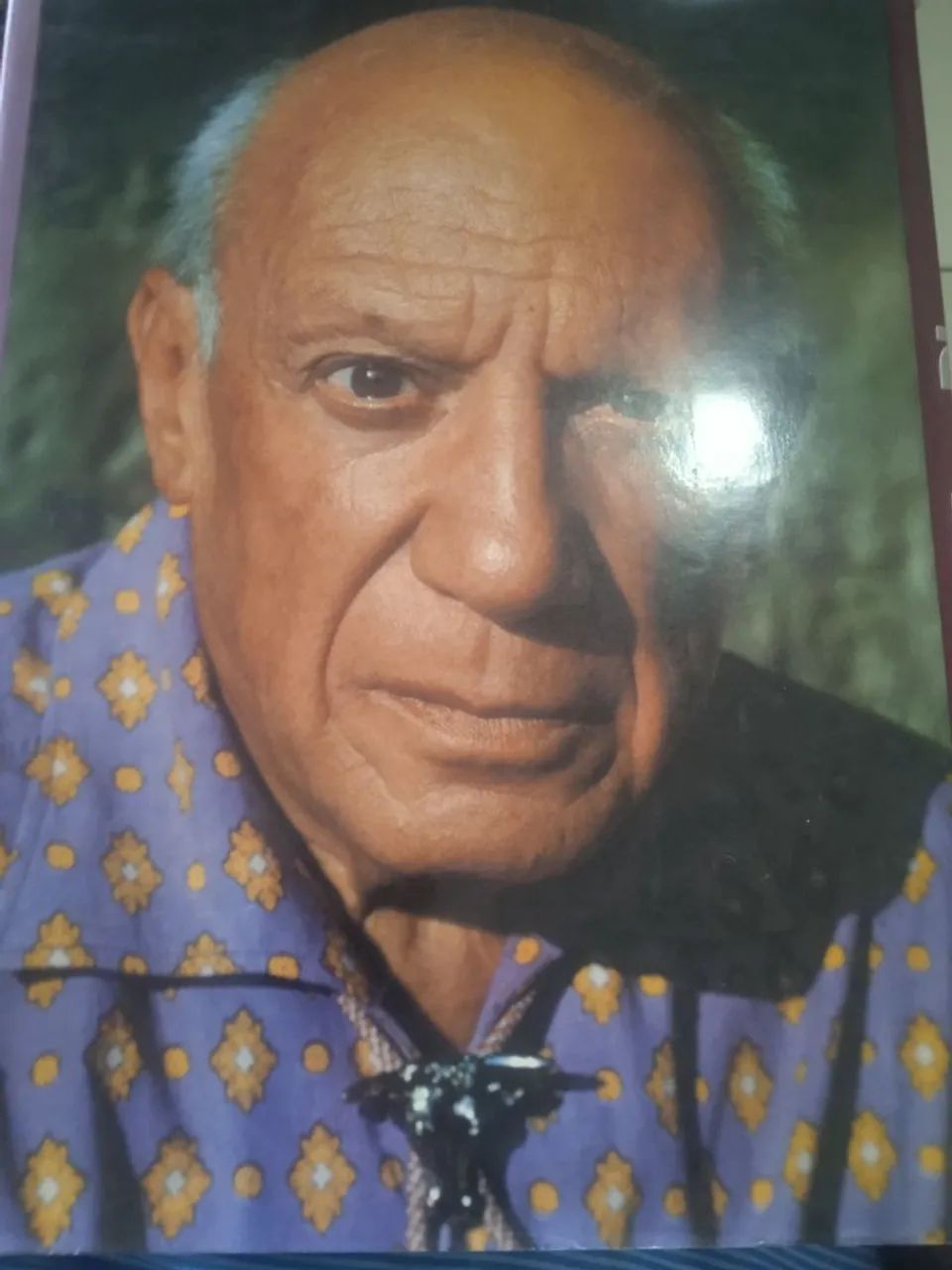 Livro 'Picasso', a Vida e a Obra do Gênio de David Douglas Duncan - Foto 2