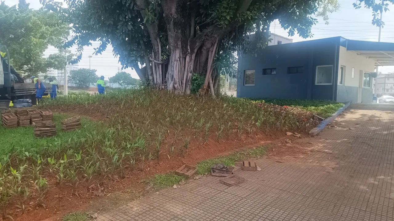 Jardineiro 
