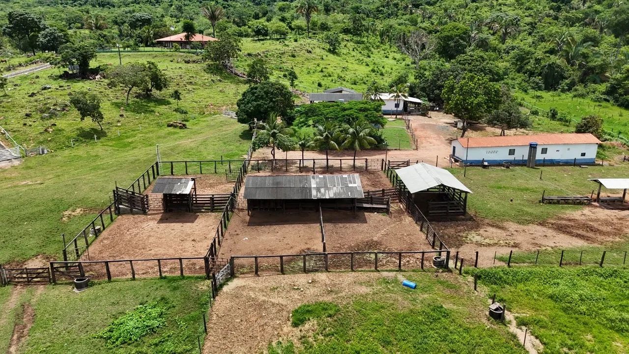 Fazenda de 240 alqueires 