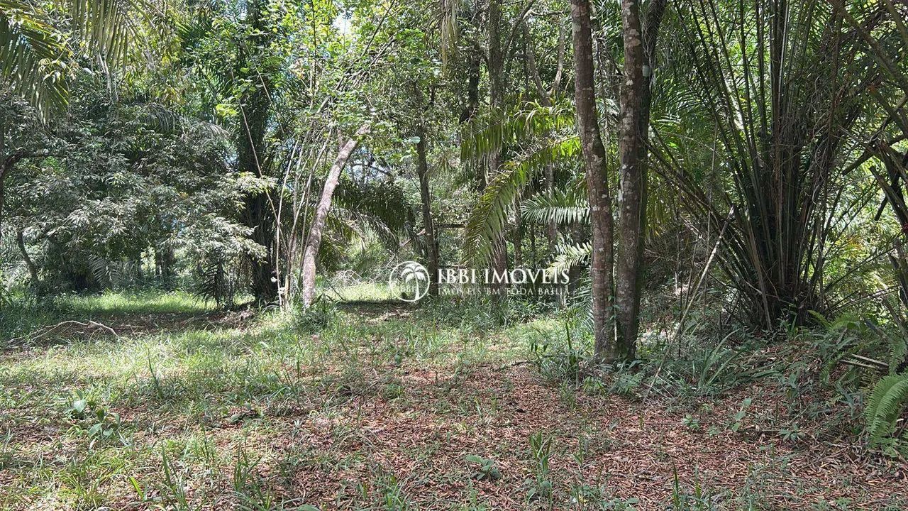 Lote Pedro Grande - Foto 2