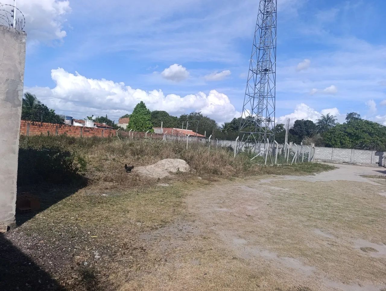 VENDO ESTE TERRENO PROXIMO NOIDE - Foto 3