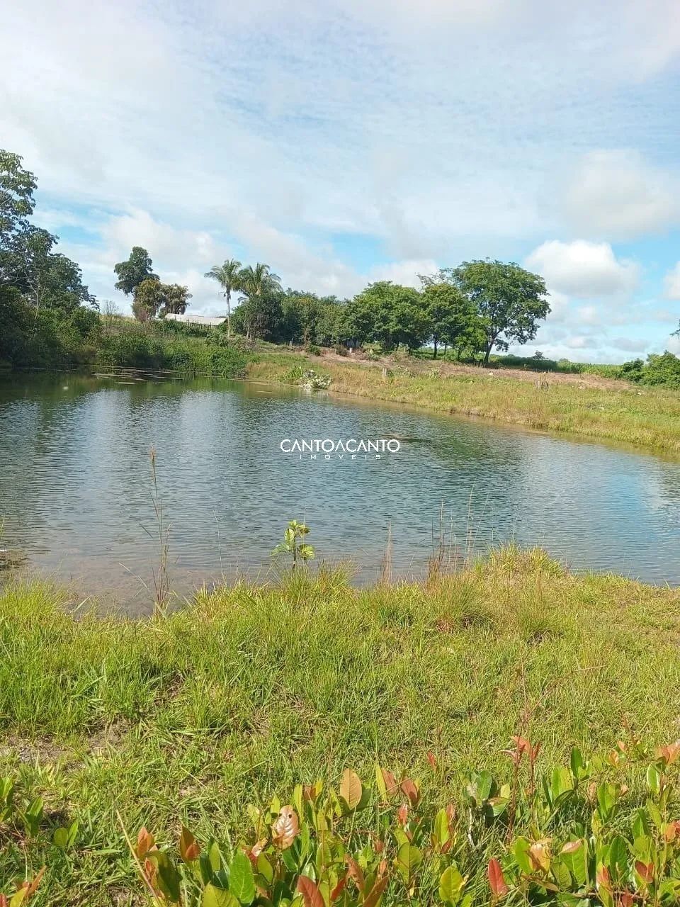 Imóvel Rural - Foto 3