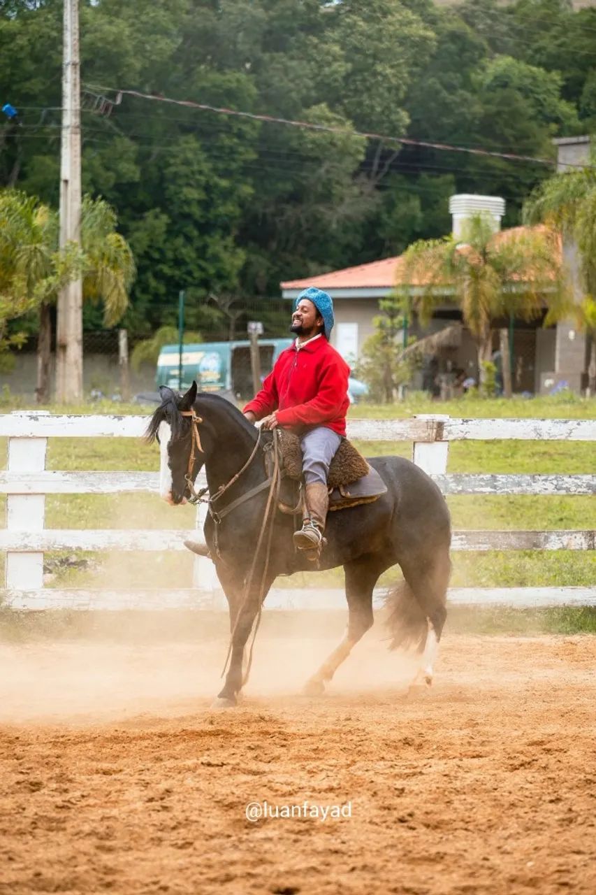 Égua Crioula, 5 anos. Boa e mansa de criança montar!