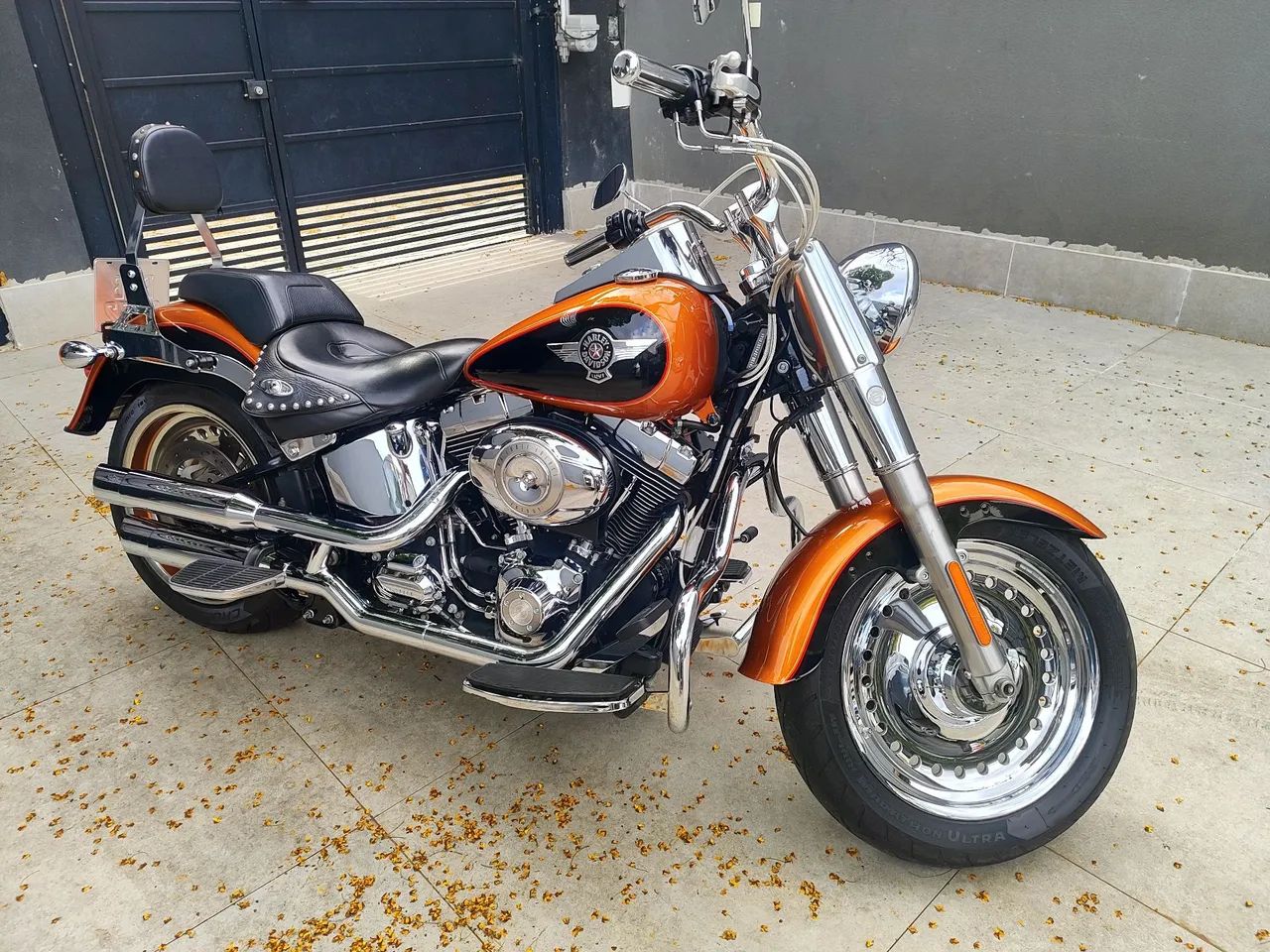 Harley Davidson flstf