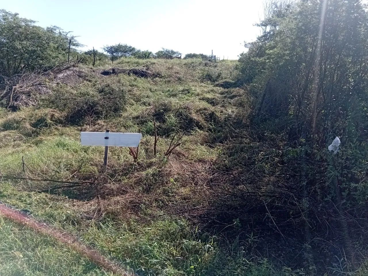 Terreno no fundo do Areal - Foto 2