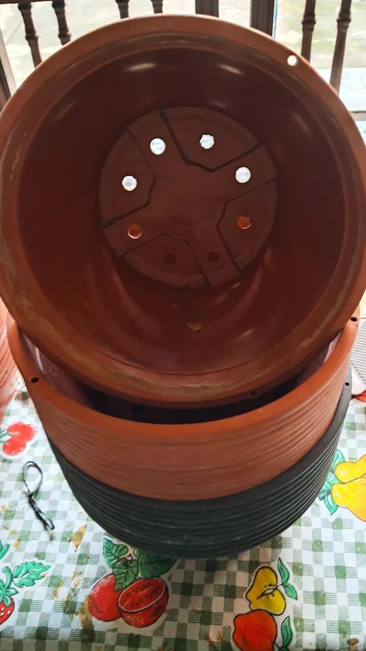 Cuias para plantas 