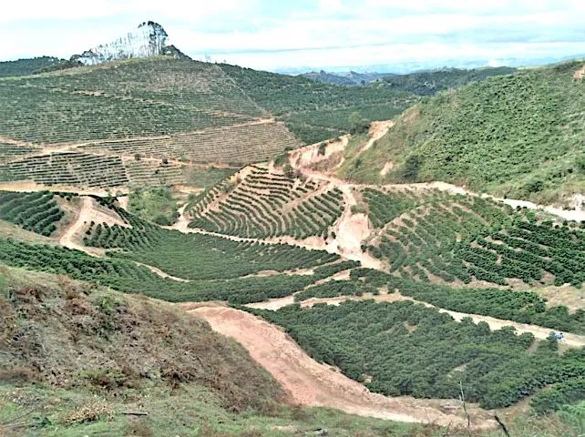 Título Minerário ANM | Berilo, Turmalina e Quartzo | Licença de Operação | ES - Foto 4