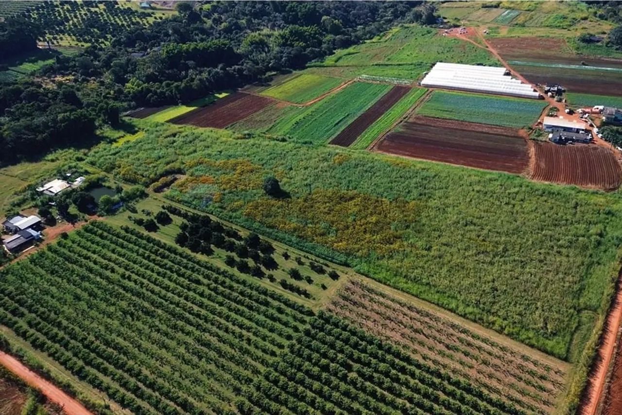 Chácara em Brazlândia - Foto 4