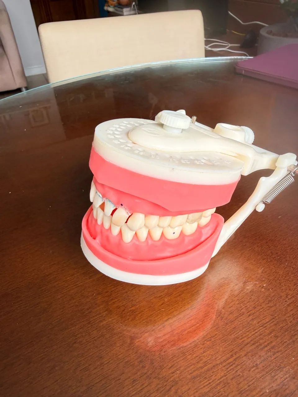 manequim de Dentística 