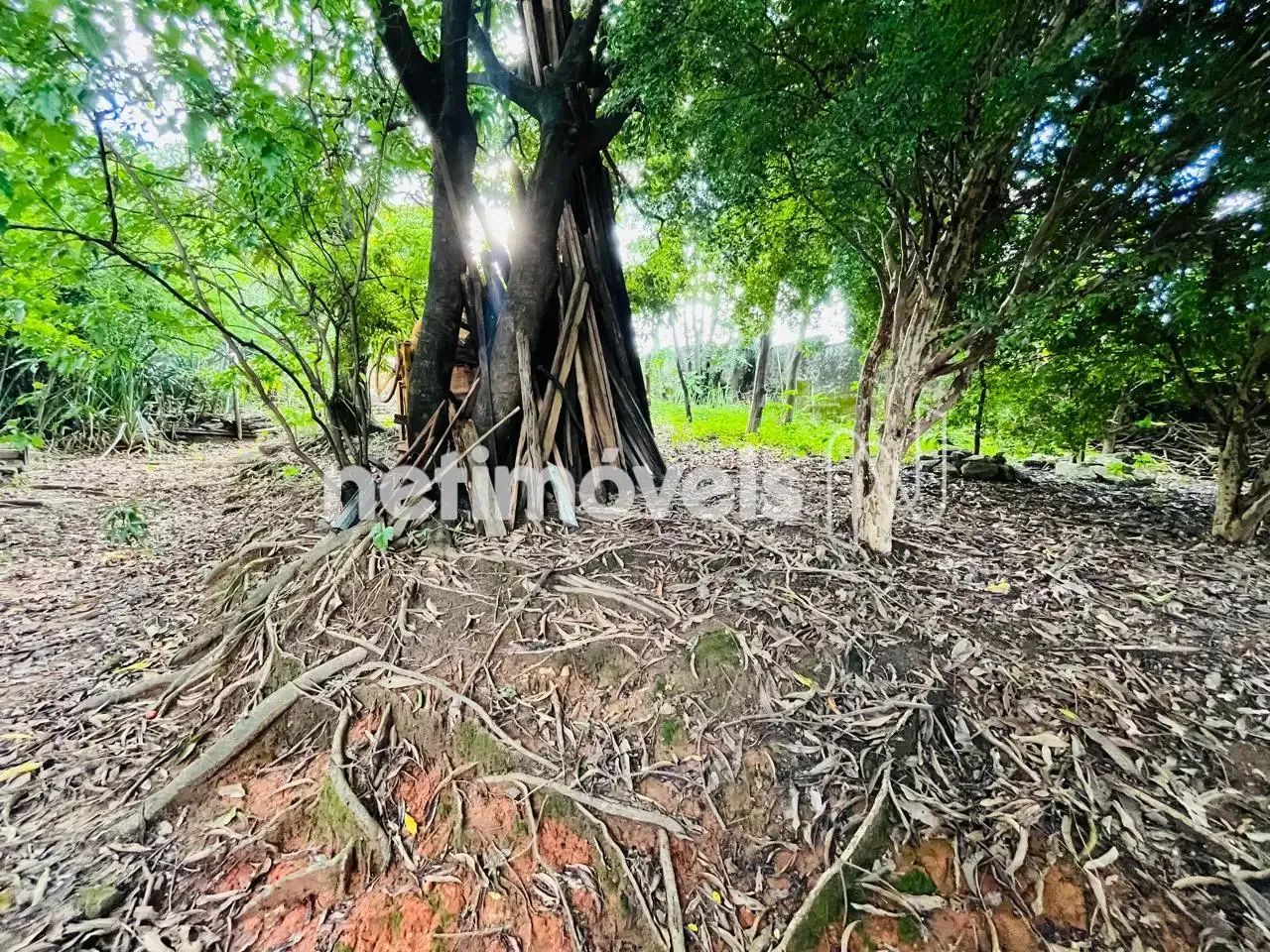 Lote de 300m²; no Pindorama! - Foto 3