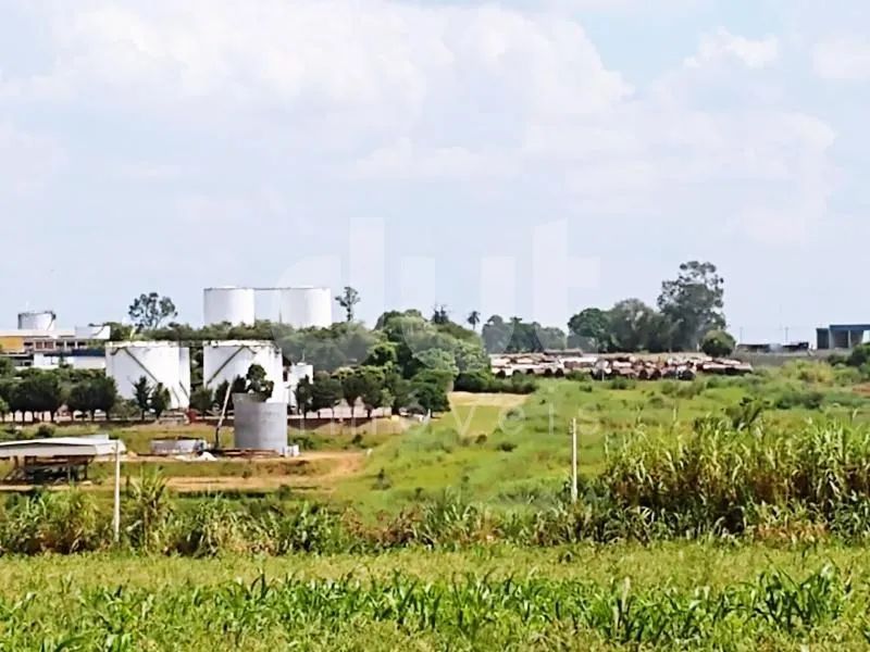 área - Bonfim - Paulínia - Foto 4
