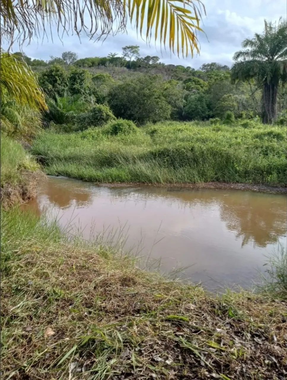 Foto - Mata de São João - 
