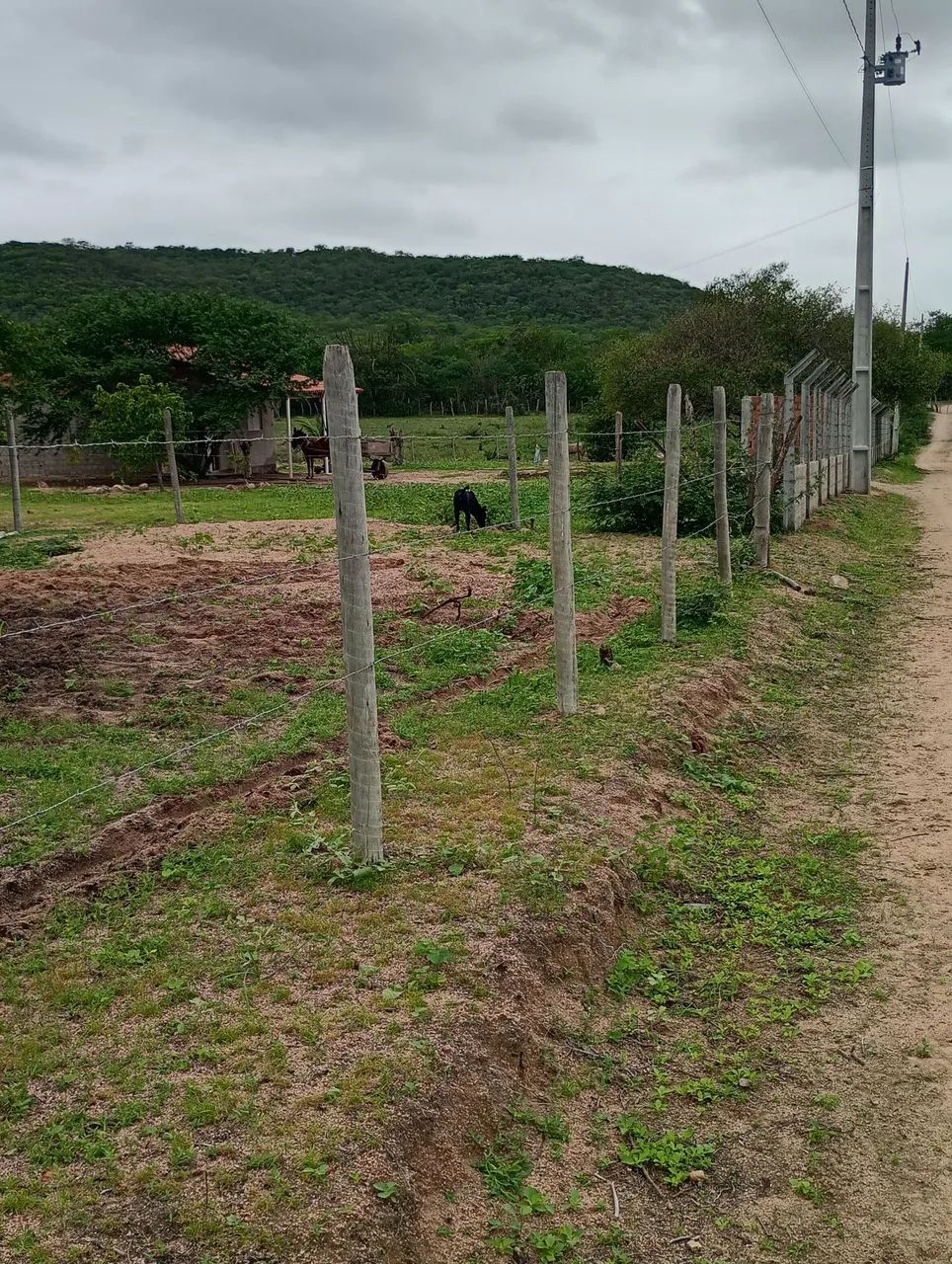 Vende-se uma casa com terras  - Foto 5