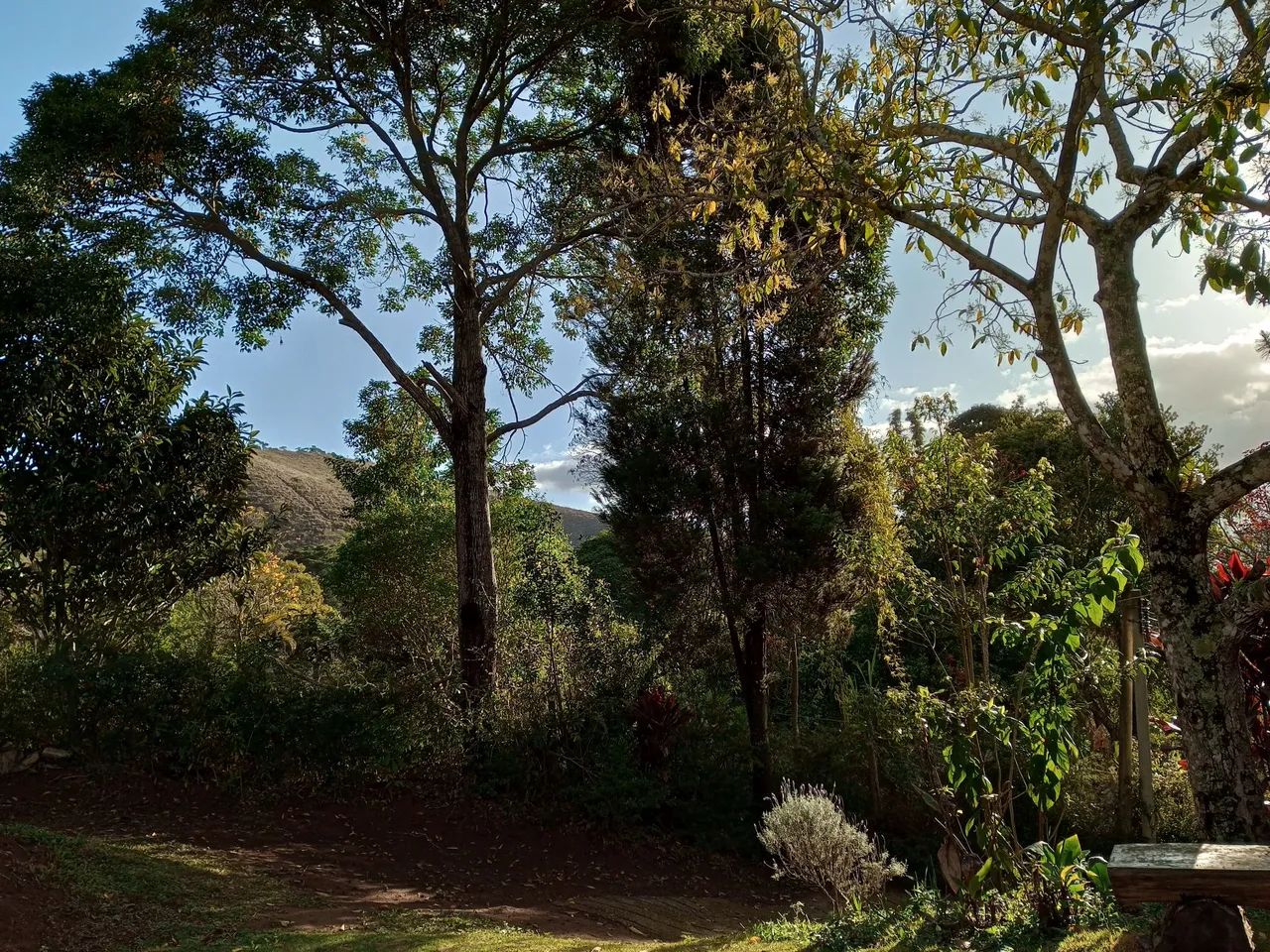 Foto - Paty do Alferes - 
