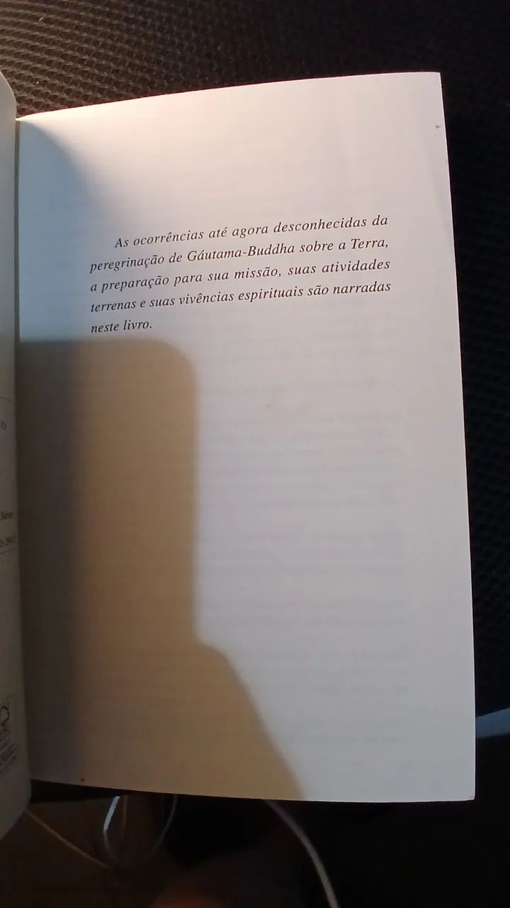 BUDDHA - Foto 4