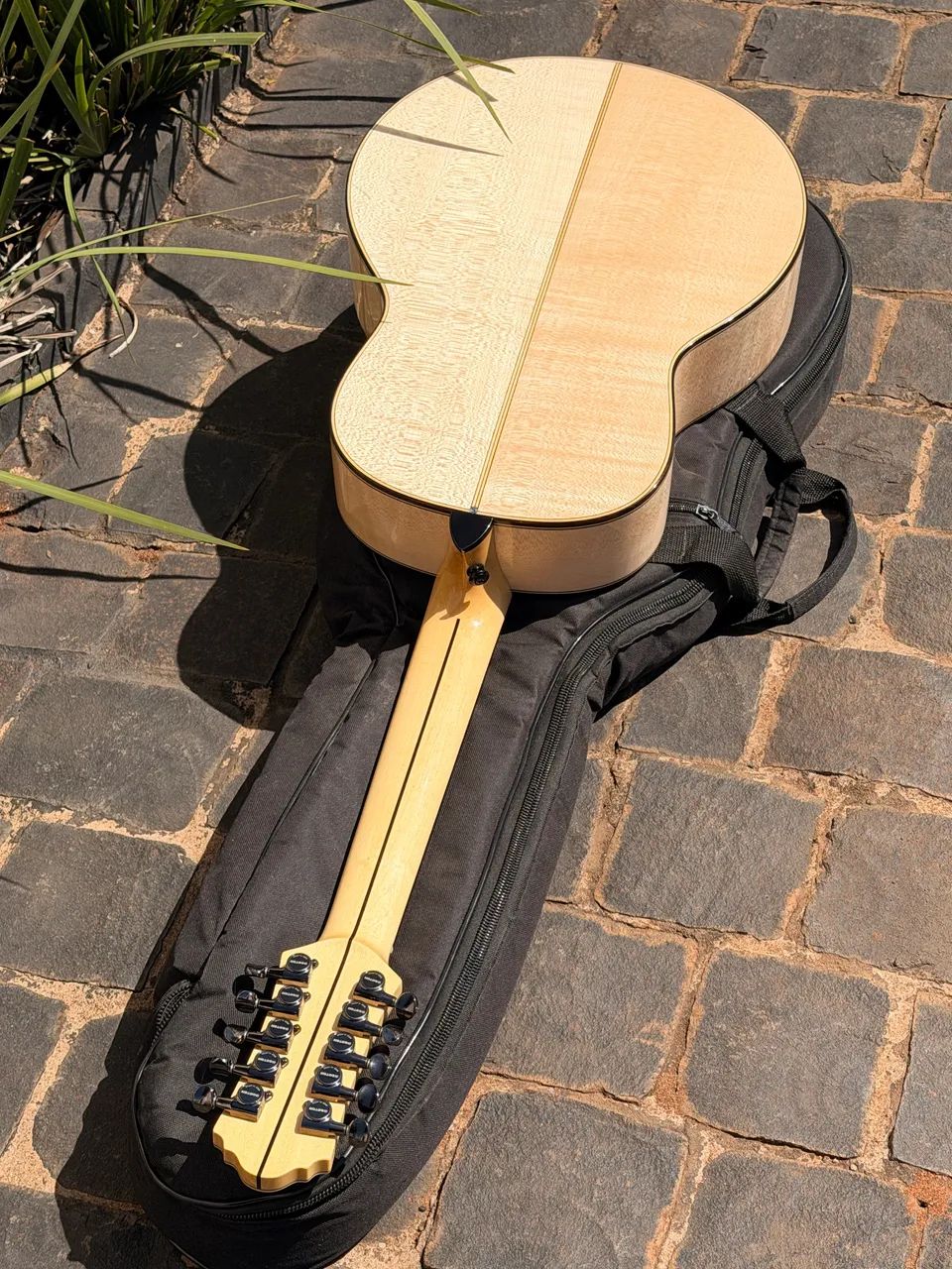 Viola de Maple - Foto 2