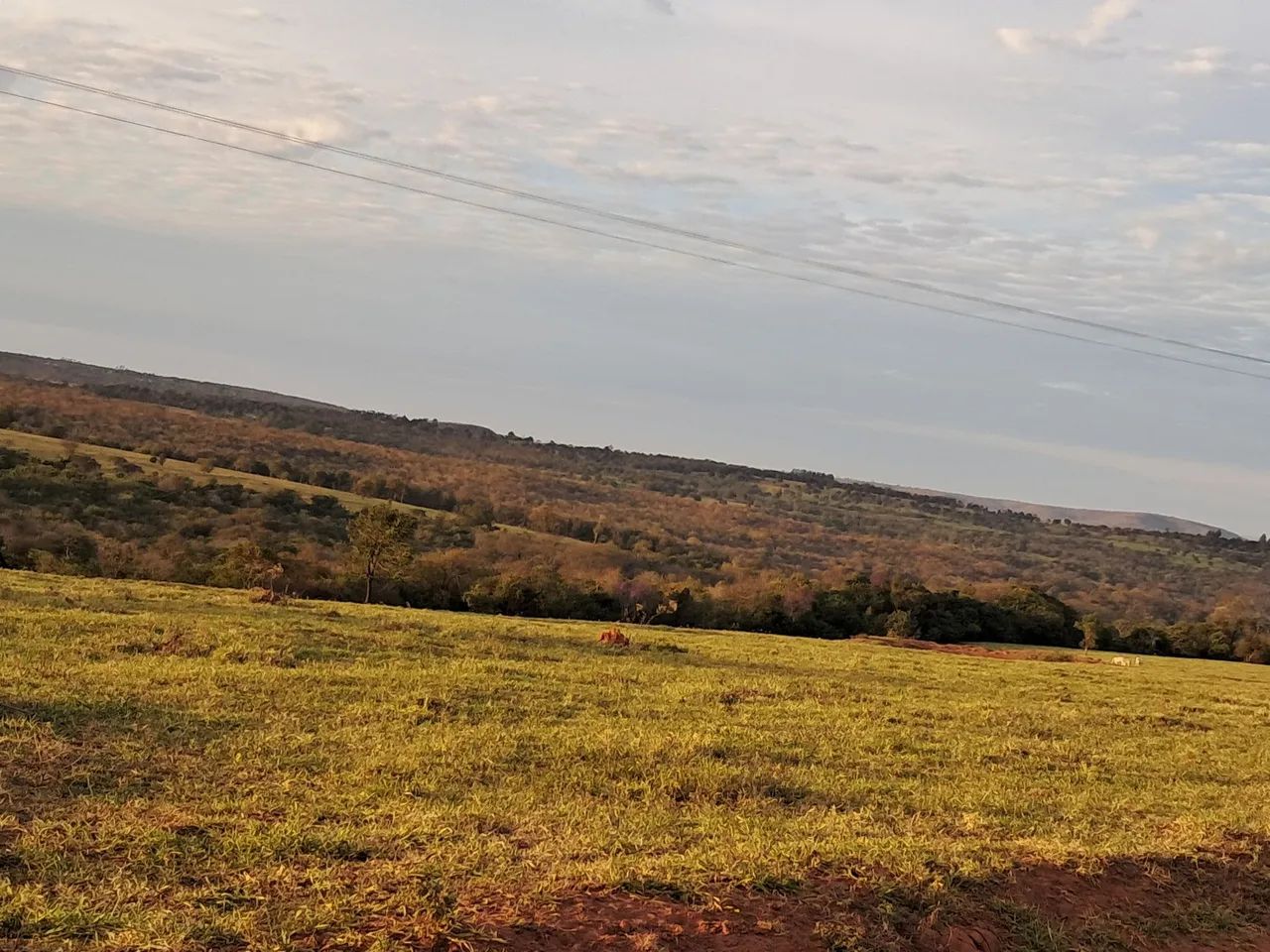 Fazenda em Anastácio MS - Foto 2
