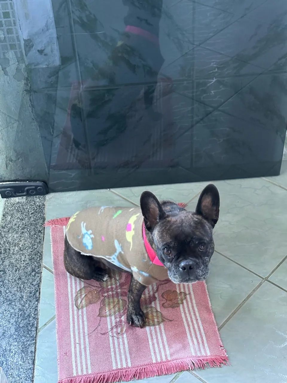 Doação  - Foto 2