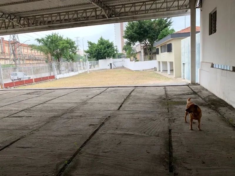 LOCAÇÃO ÁREA DE 1.760 M² LIMÃO - SÃO PAULO/SP - Foto 5