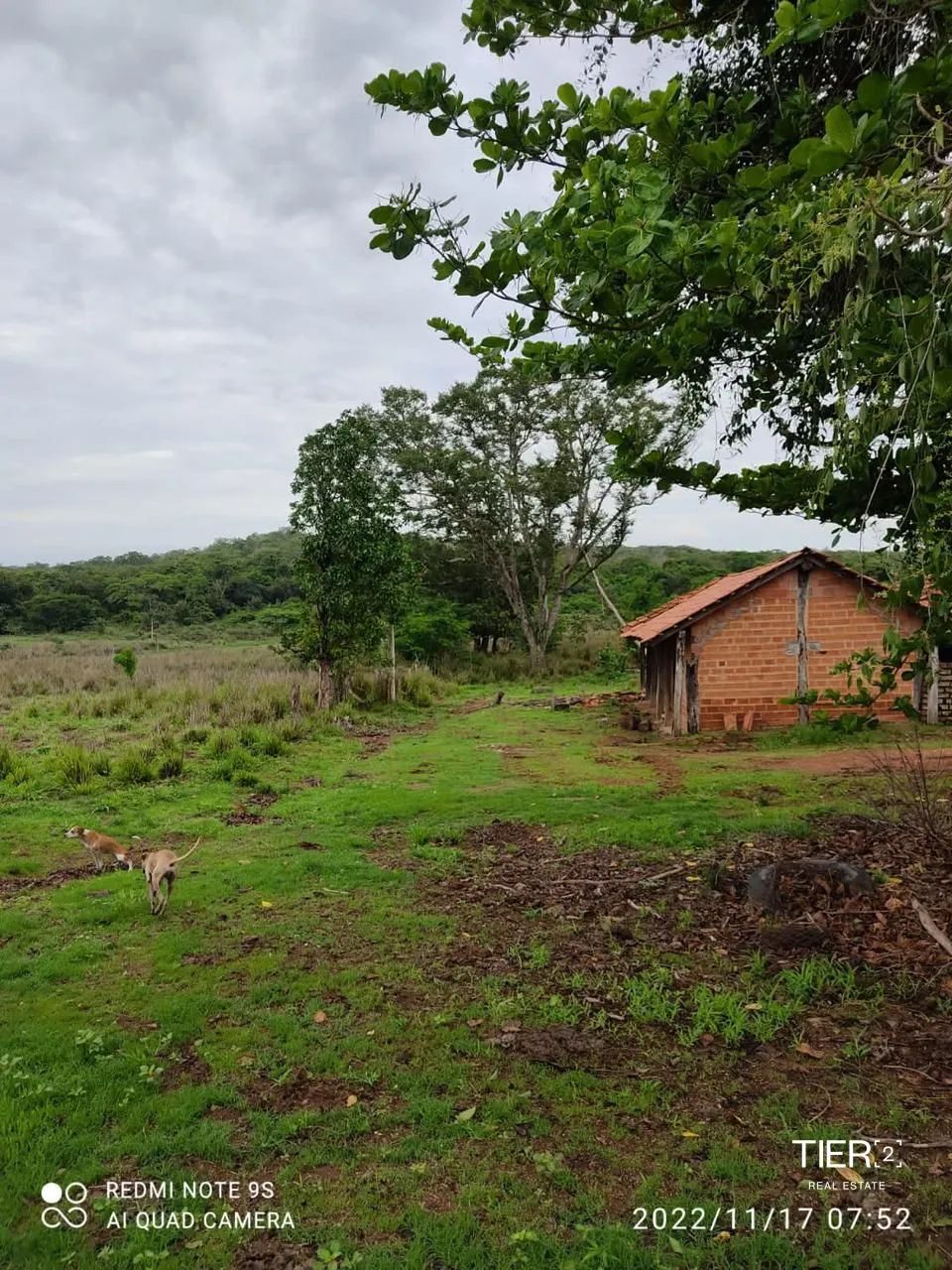 Fazenda 1 dormitórios à venda Setor Central Pedro Afonso/TO - Foto 4
