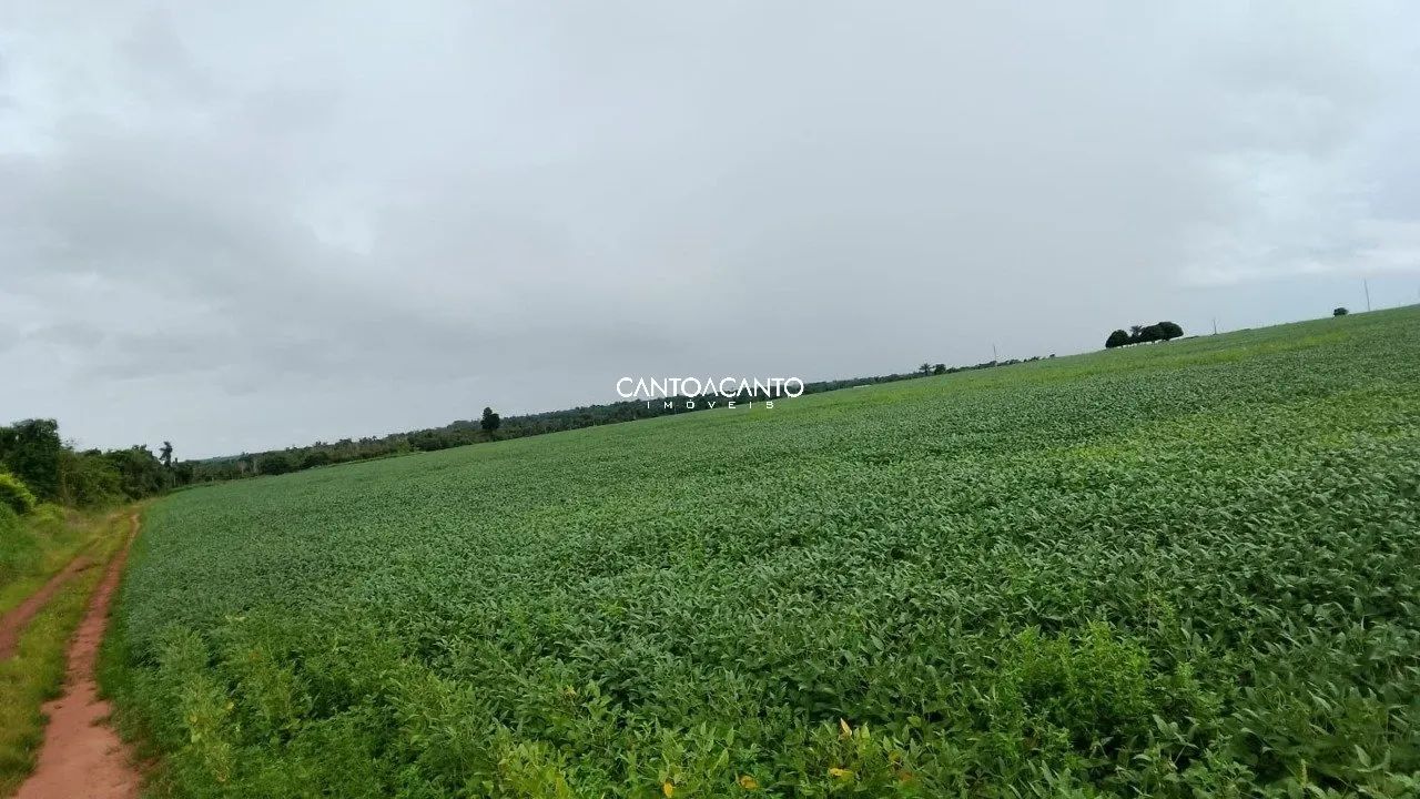Imóvel Rural - Foto 2