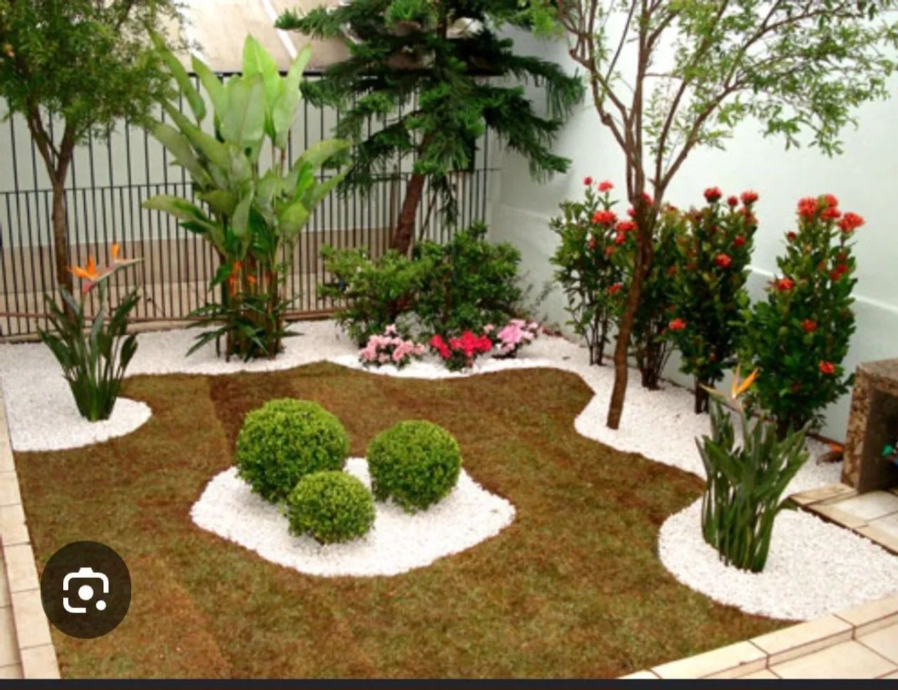 Jardinagem  - Foto 3