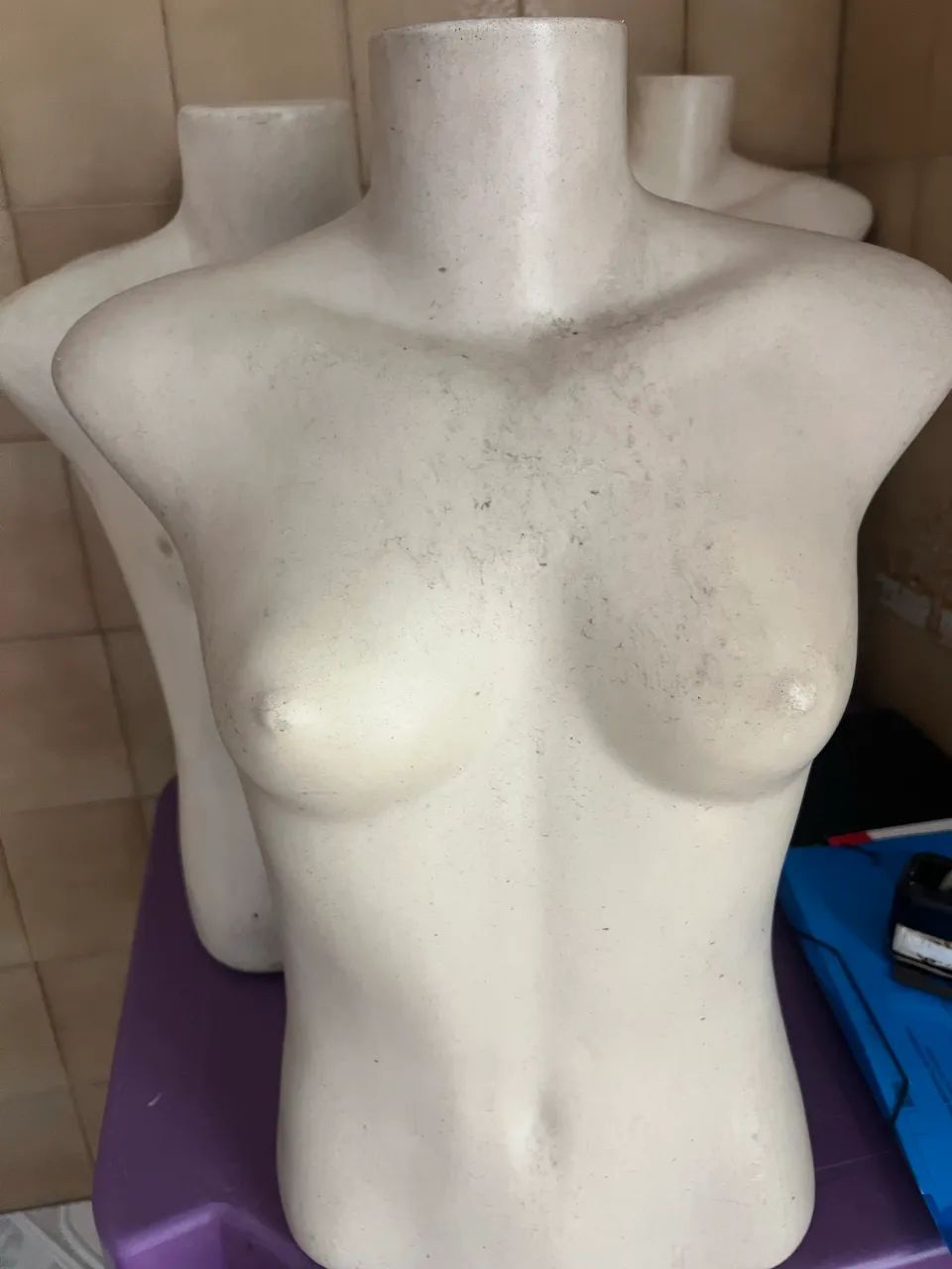 Bustos femininos 