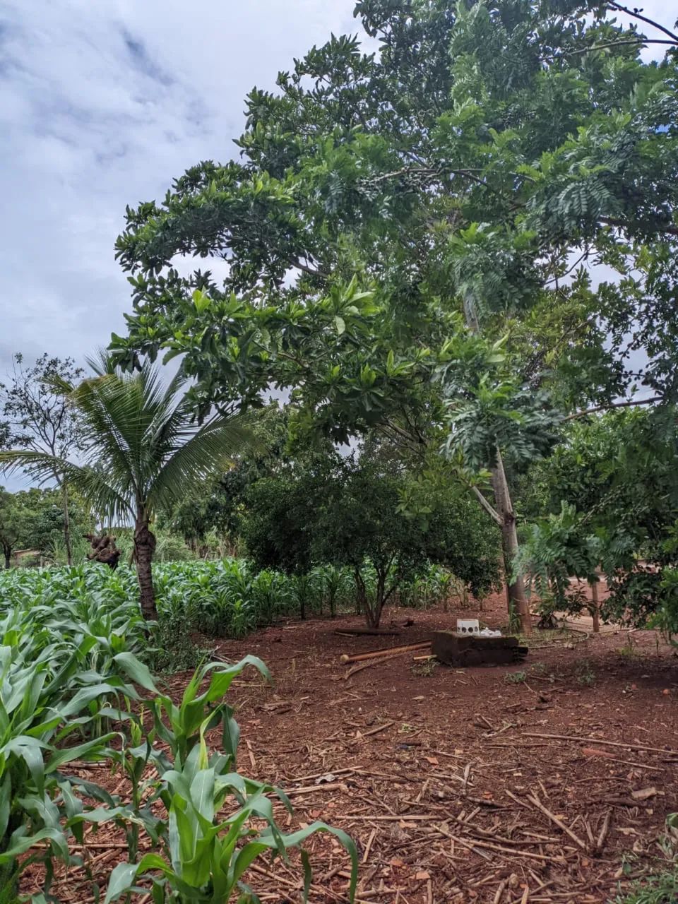 Foto - Luziânia - Centro