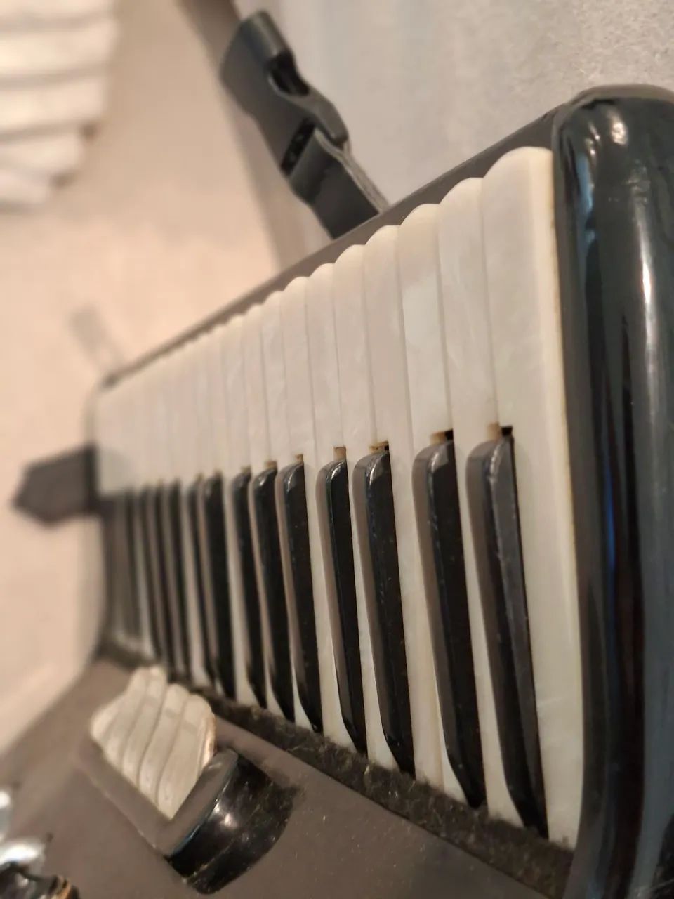 Acordeon todeschini super 5  - Foto 3