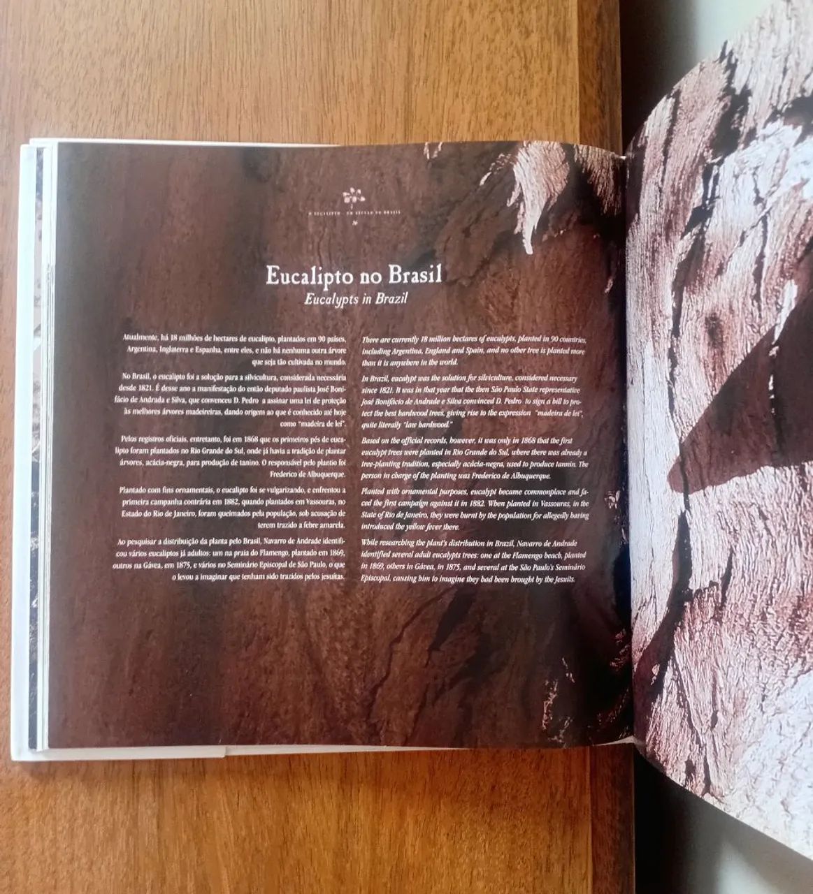 Livro O Eucalipto Um século no Brasil - Foto 3