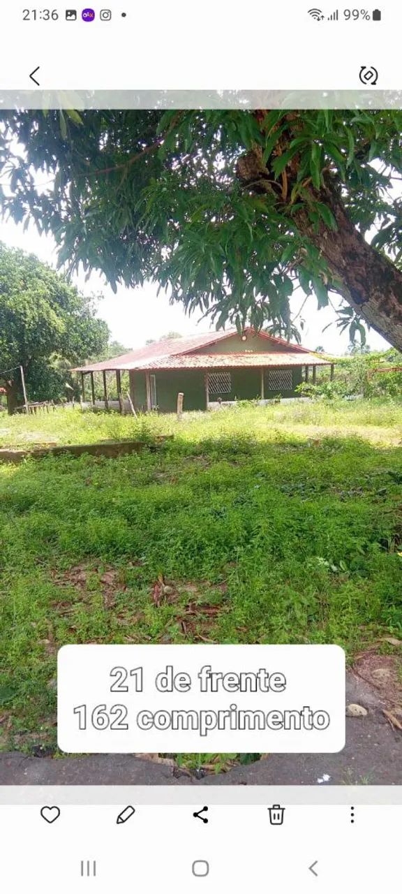 Vendo sitio - Foto 2