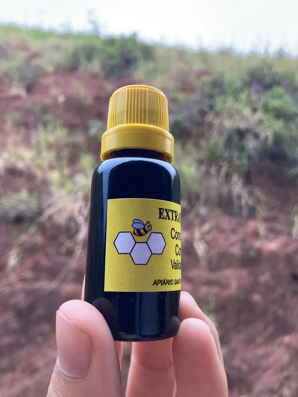 MEL PURO 100% NATURAL 700g - Foto 6