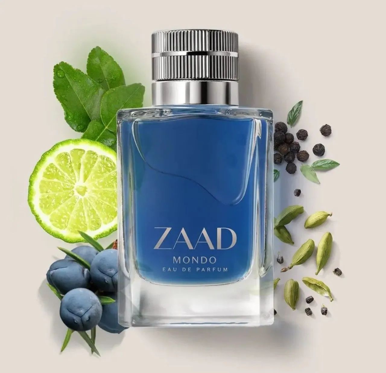 Zaad Mondo Eau de Parfum masculino, 95ml 95ml - Beleza e Cuidados