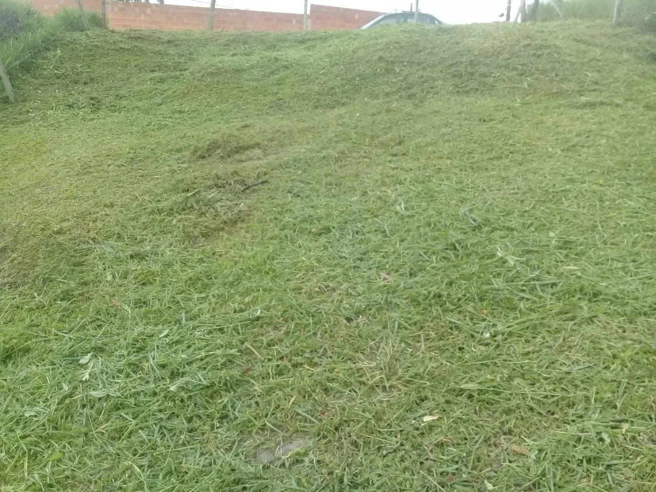 Bom lugar para morar - Foto 5