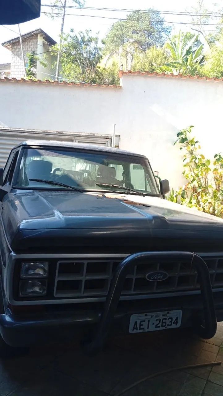 Ford F-1000 1989