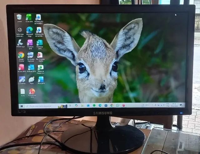 Monitor Samsung S19A300B - 19 Polegadas - VGA/Dvi - 12 Volts.