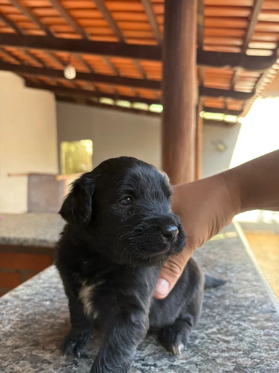 Doação  - Foto 2