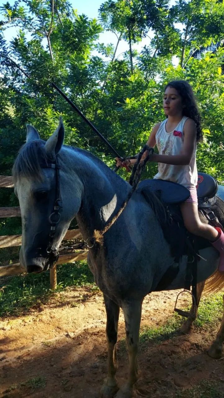 Vendo égua mangalarga  - Foto 6