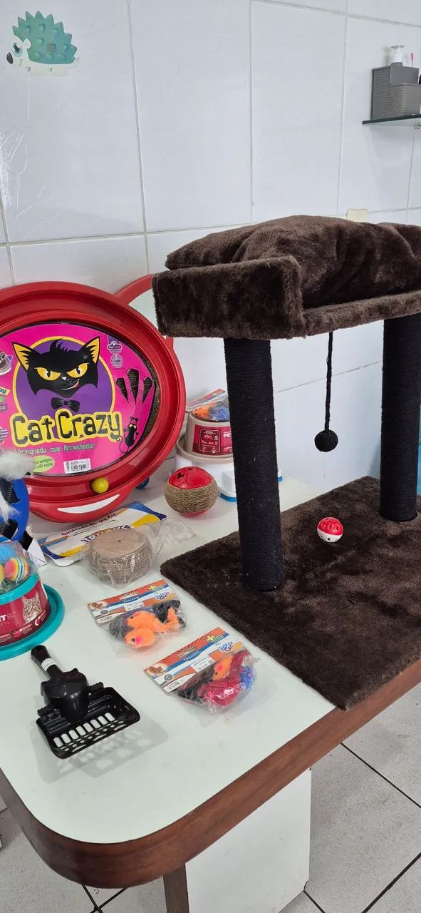 Kit completo para Gatos  - Foto 4