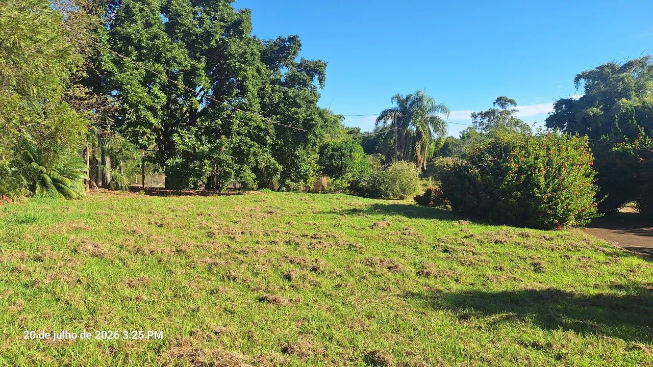 Chácara em Jales SP  - Foto 2